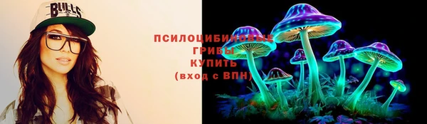 герыч Осинники